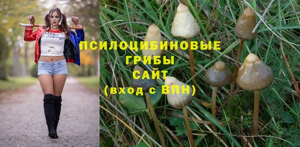 спиды Горняк