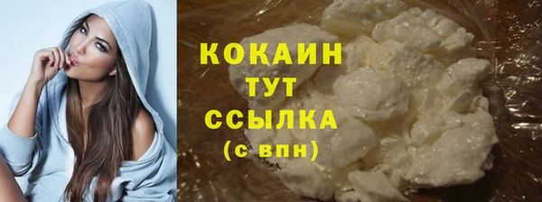 шишки Вязники