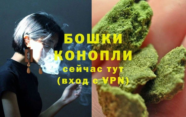 круглые Вяземский