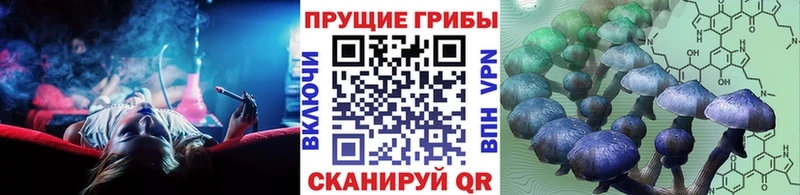 купить  цена  Зубцов  Галлюциногенные грибы мухоморы 
